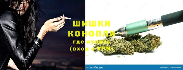 шишки Алексеевка