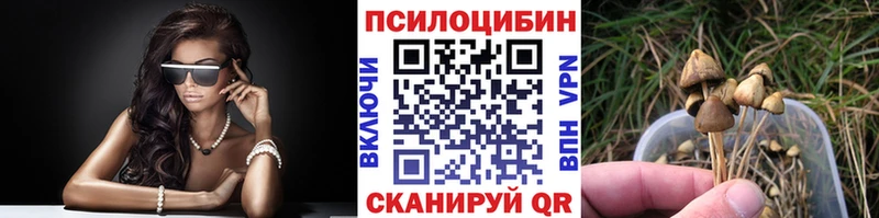Псилоцибиновые грибы GOLDEN TEACHER  купить  сайты  Красноуральск 